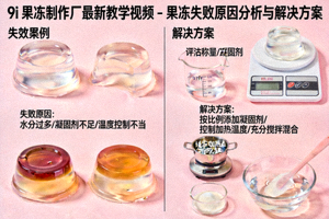9i果冻制作厂最新教学视频 - 果冻失败原因分析与解决方案
